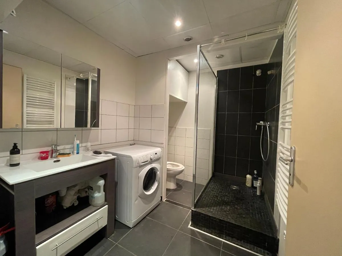 Appartement Loft Vue Montagne à Saint-Jorioz France